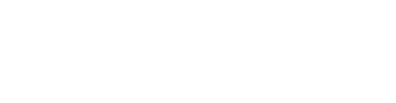 Las Flores 535